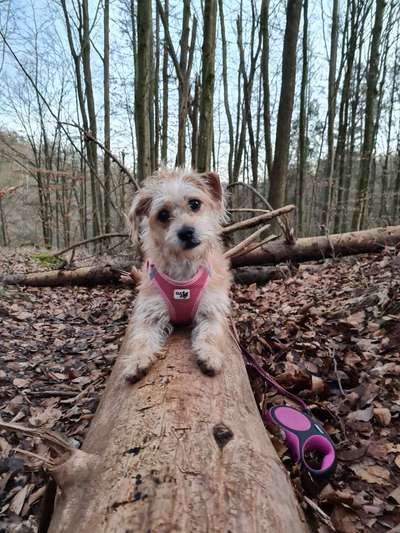 Fotowettbewerb Natur-Beitrag-Bild