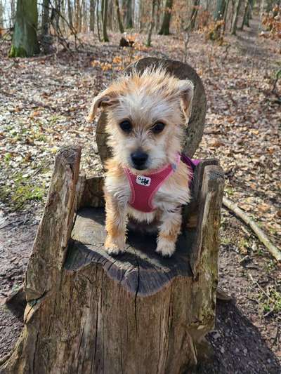 Fotowettbewerb Natur-Beitrag-Bild