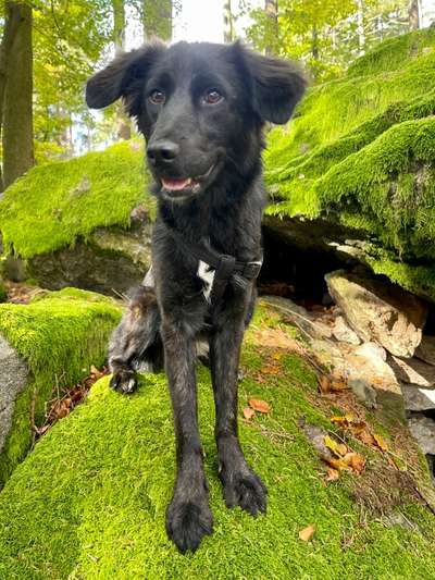 Lieblingsbild-Beitrag-Bild