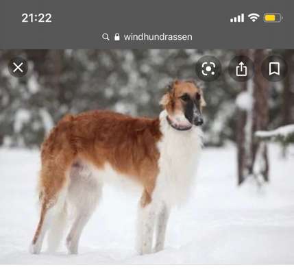 Wer bin ich?-Beitrag-Bild