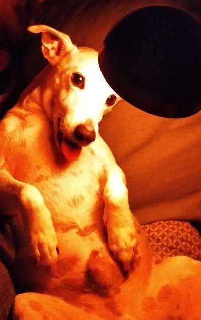 Lieblingsbild-Beitrag-Bild