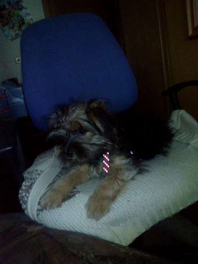 Foto Challenge 3-Beitrag-Bild