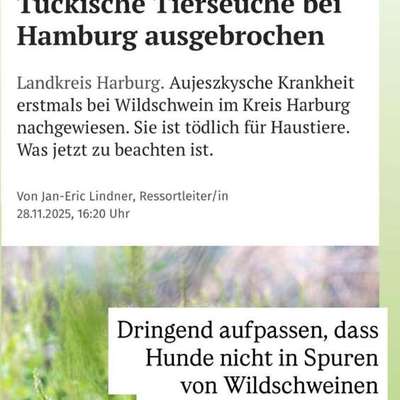 Giftköder-Ansteckungsgefahr-Bild