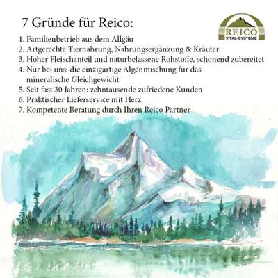 Wildkind VS Wolfsblut-Beitrag-Bild