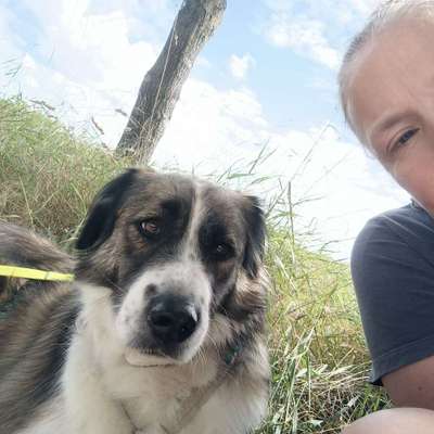 Hundetreffen-Wir suchen rumänische Angsthasen! Zum gemeinsamen Spazieren an der Leine gehen.-Profilbild