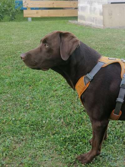 Doppelgänger gesucht !-Beitrag-Bild