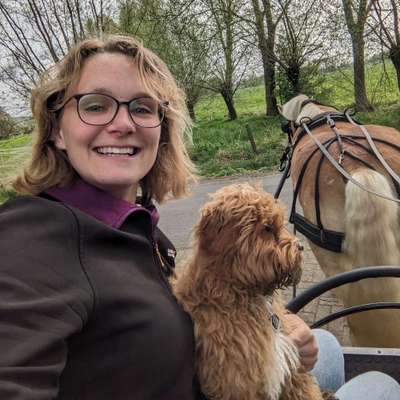 Hundetreffen-Hundetreff, spazieren und spielen-Profilbild