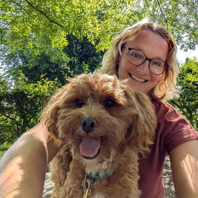 Hundetreffen-Hundetreff, spazieren und spielen