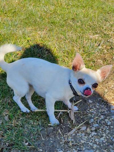 Gibt es Namens-Verwandte-Beitrag-Bild