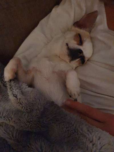 Die unbequemsten und lustigsten Schlafpositionen-Beitrag-Bild