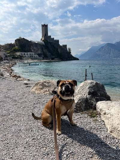 Conti Besitzer? :-)-Beitrag-Bild