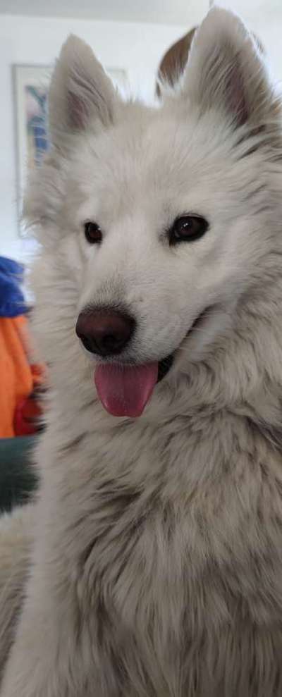 Lieblingsbild :D-Beitrag-Bild