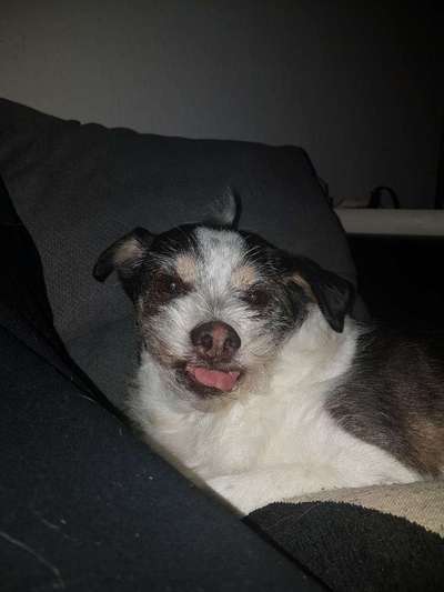 Fotochallange Nr. 57     PORTRÄT.   Beendet!!!!!!!!-Beitrag-Bild