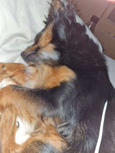 Gemeinsames Kuscheln im Bett!-Beitrag-Bild