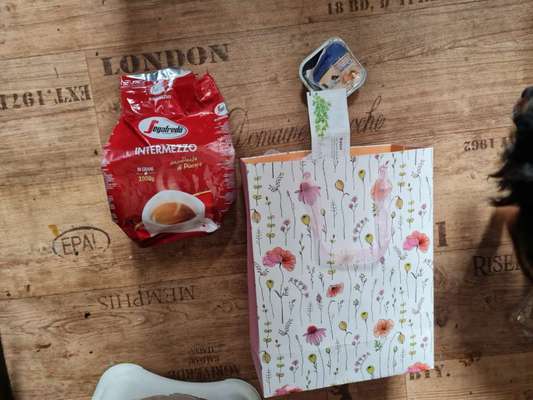 Zeig mir, dass du mit einem hund zusammenlebst....-Beitrag-Bild