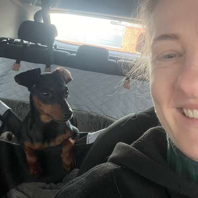 Hundetreffen-Spaziergang-Bild