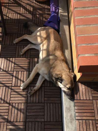 Die unbequemsten und lustigsten Schlafpositionen-Beitrag-Bild