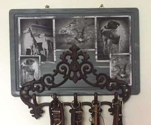 Alles für Hund und Katz-Beitrag-Bild