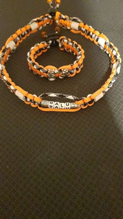 ZECKENHALSBÄNDER, ARMBÄNDER UND SCHLÜSSELANHÄNGER-Beitrag-Bild