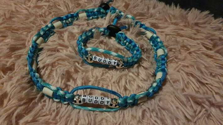 ZECKENHALSBÄNDER, ARMBÄNDER UND SCHLÜSSELANHÄNGER-Beitrag-Bild