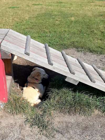 80. Foto  Challenge - Versteckt/ in einer Höhle-Beitrag-Bild