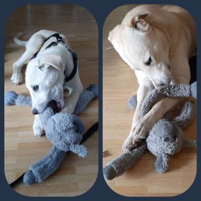 Sie werden so schnell groß!-Beitrag-Bild