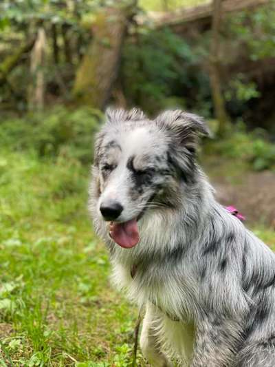 Fotochallenge Nr 50 Vom Winde verweht-Beitrag-Bild