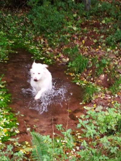 30. Collagen Challenge - Wege/Straßen-Beitrag-Bild