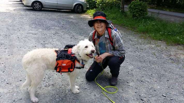 41. Handy Fotochallenge - Euer gemeinsames Hobby-Beitrag-Bild