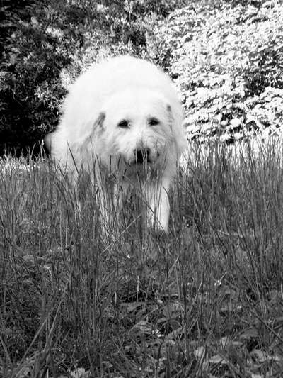 3. Farben/Fotochallenge: Schwarz/Weiß-Beitrag-Bild