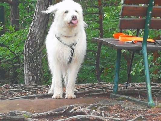 "Die eingefangene Magie des Augenblicks"-Beitrag-Bild