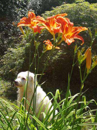 Farben Fotochallenge Thema ,,Grün"-Beitrag-Bild