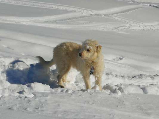 30. Collagen Challenge - Wege/Straßen-Beitrag-Bild
