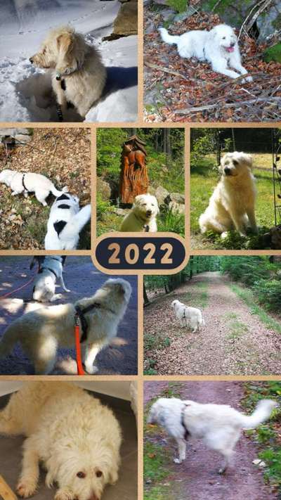 23. Collagen-Challenge: Portraits-Beitrag-Bild