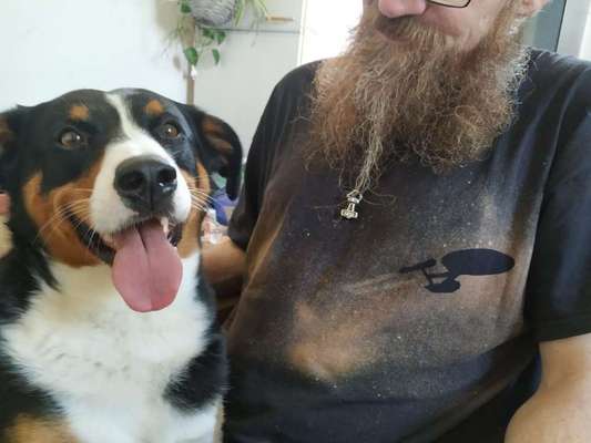 Das beste grinsefoto-Beitrag-Bild