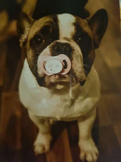 Fotochallenge Nr. 67: Euer Lieblingsbild-Beitrag-Bild