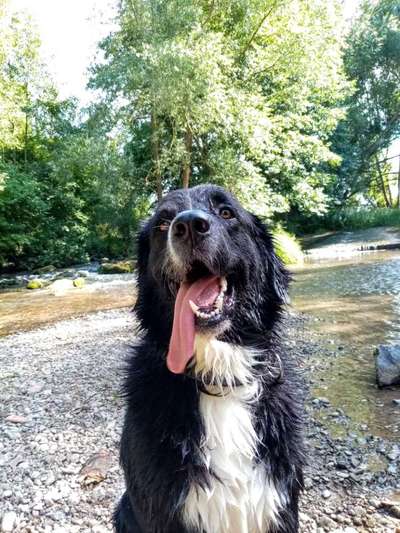 42.Fotochallenge - Eure schönen Momente beim Spaziergang-Beitrag-Bild