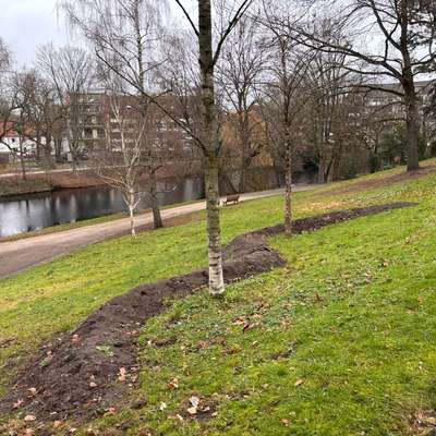 Hundeauslaufgebiet-Wiese mit Zugang zu Wasser-Bild