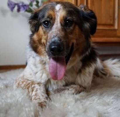 Fotochallange Nr. 57     PORTRÄT.   Beendet!!!!!!!!-Beitrag-Bild