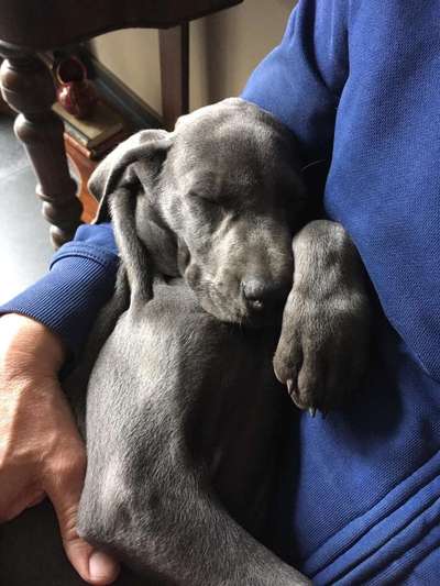 Lieblings Schnappschuss?-Beitrag-Bild