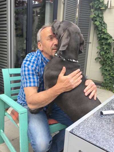 Zeigt mal die schönsten Bilder von euren Hunden !-Beitrag-Bild