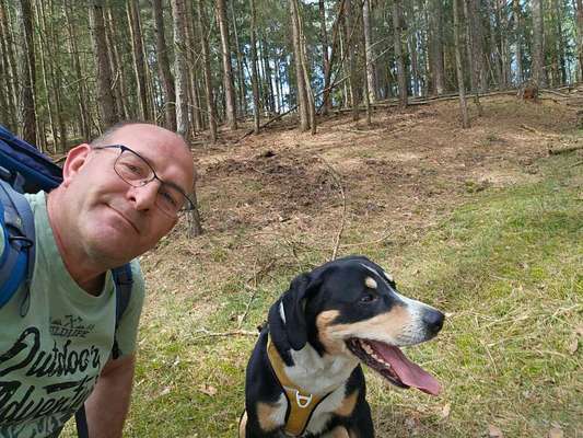 Hundetreffen-Gassi runde-Bild