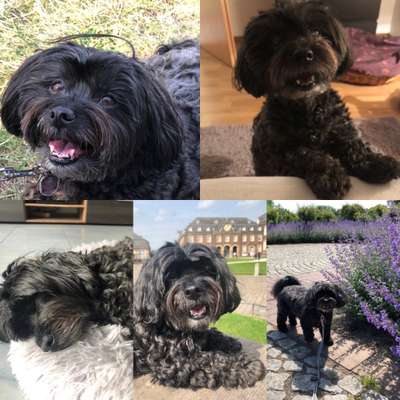 Wann ist es Zeit, sich zu verabschieden?-Beitrag-Bild