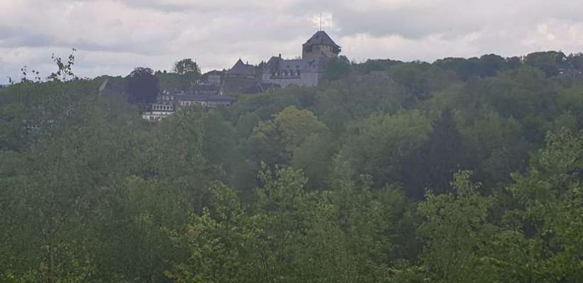 Die wunderschöne Welt mit Hund.-Beitrag-Bild