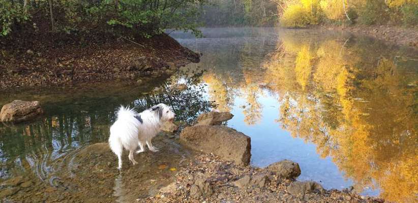 Fotochallenge 27-Beitrag-Bild