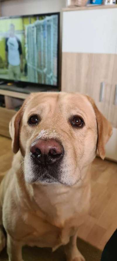 Zeigt mir eure Lieblingsfotos ♡♡-Beitrag-Bild