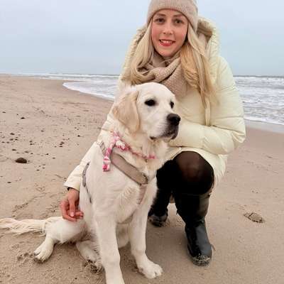 Hundetreffen-Hundetreffen Salzgitter-Profilbild