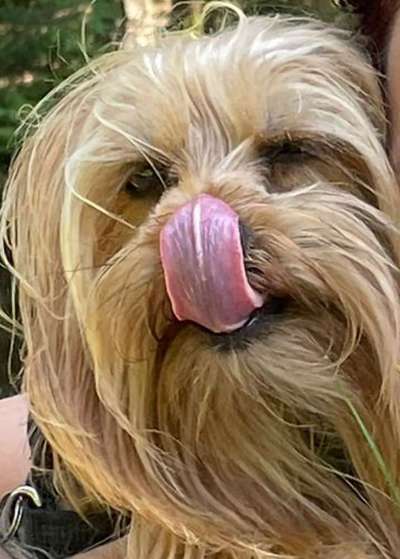 Tongue Out Tuesday-Beitrag-Bild