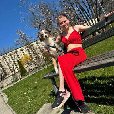 Hundetreffen-Gassitreffen