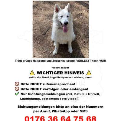 Suchmeldung-Anea-Bild